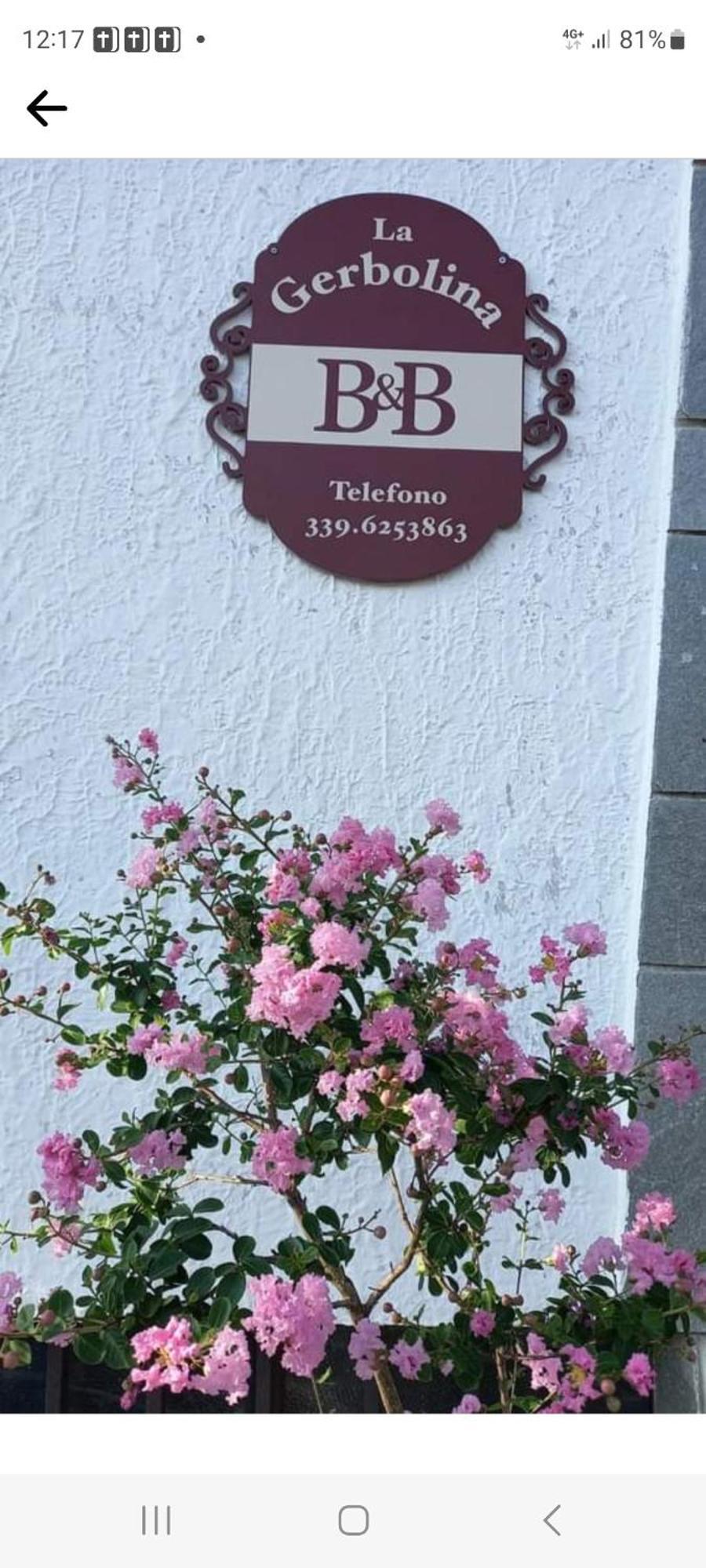 B&B La Gerbolina San Giusto Canavese Екстер'єр фото