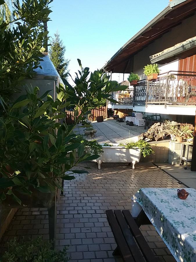B&B La Gerbolina San Giusto Canavese Екстер'єр фото